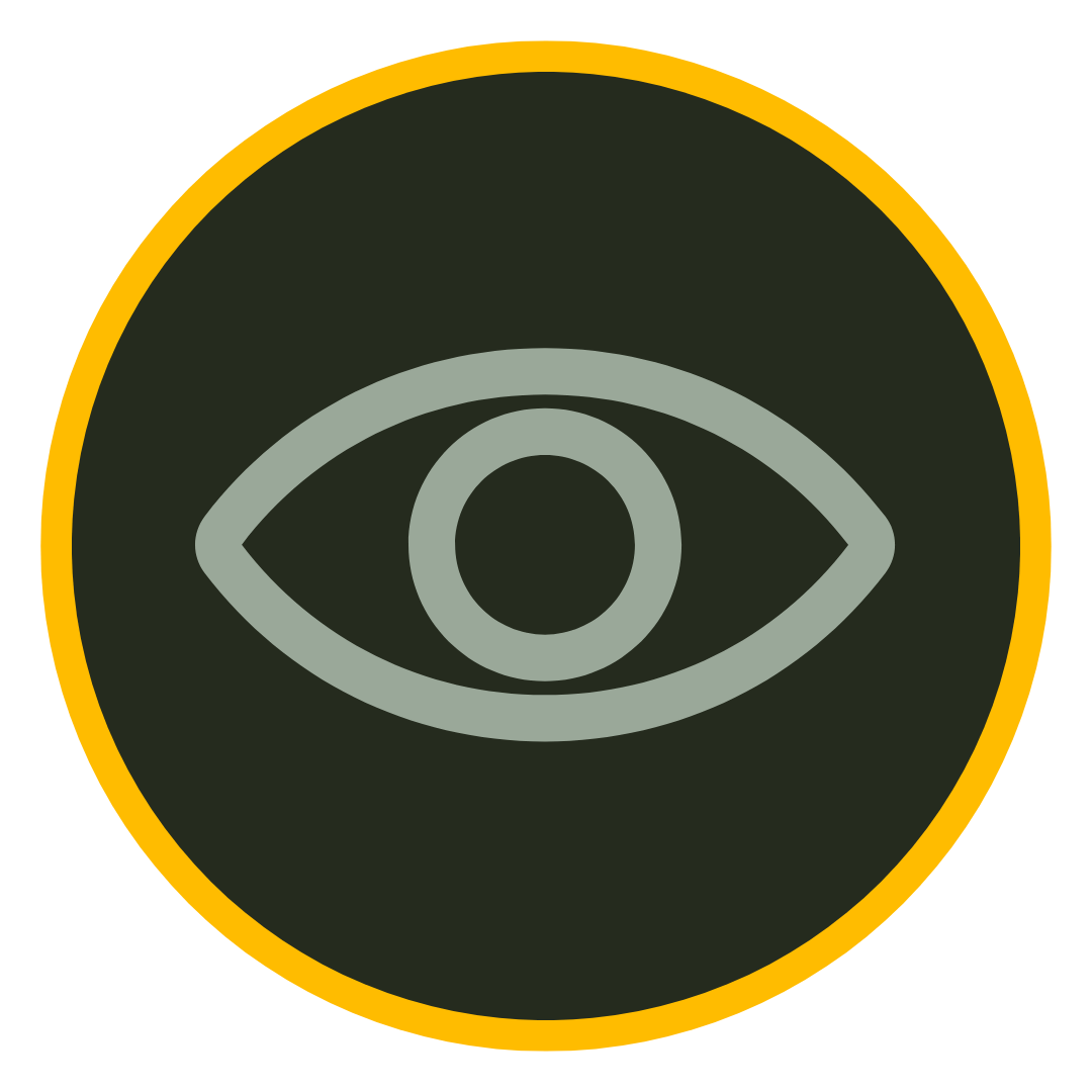 Icoon oog