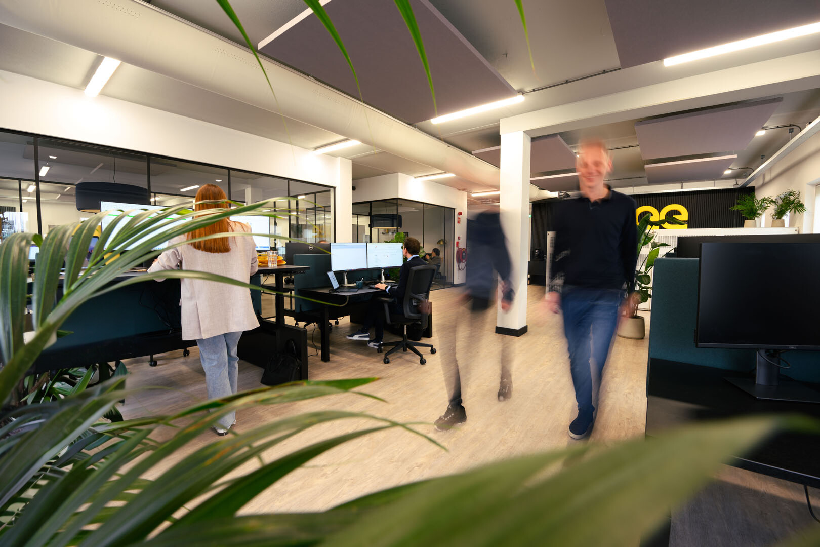 team working and walking in uxbee office